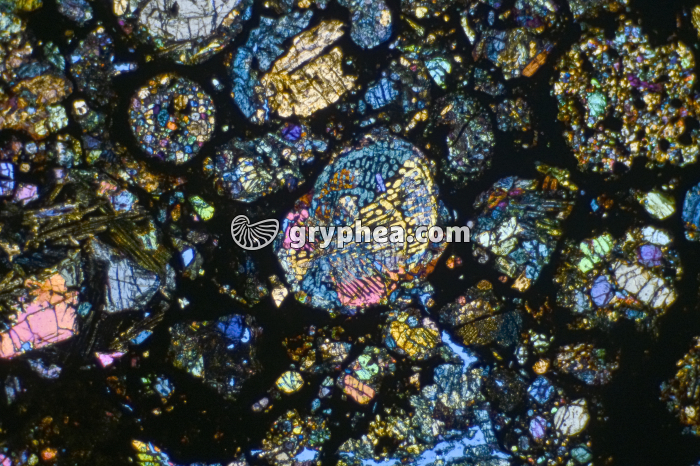 Météorite LPA x7 - gryphea.com